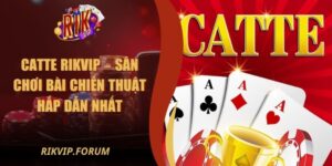 Catte Rikvip – Sân Chơi Bài Chiến Thuật Hấp Dẫn Nhất